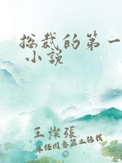 总裁的第一宠妻 小说