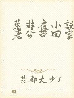 叶非夜小说国民老公带回家