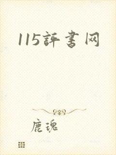115评书网