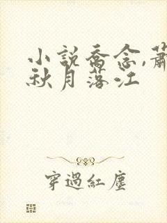 小说乔念,萧衡秋月落江