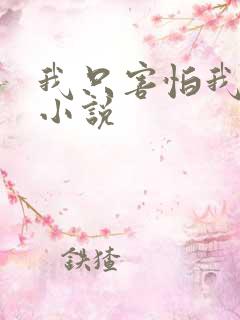 我只害怕我爱你小说
