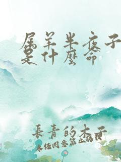 属羊半夜子时生是什么命