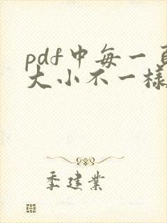 pdf中每一页大小不一样怎么调整