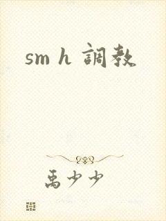 sm h 调教