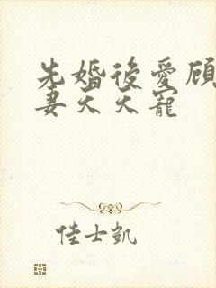 先婚后爱顾少娇妻天天宠