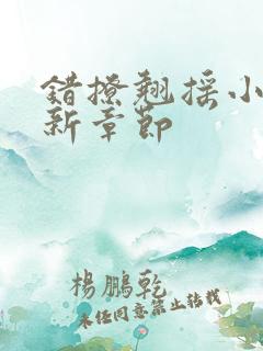 错撩翘摇小说最新章节