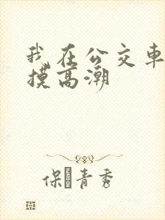 我在公交车上被摸高潮