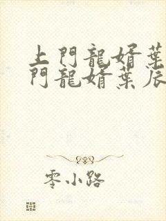 上门龙婿叶辰上门龙婿叶辰
