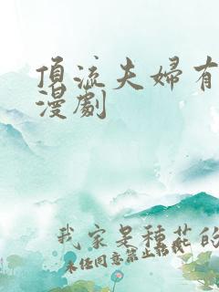 顶流夫妇有点甜漫剧