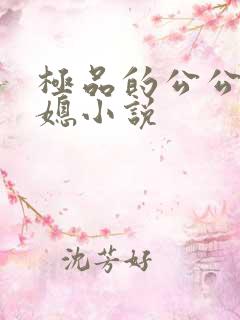 极品的公公俏儿媳小说