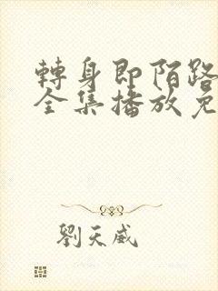转身即陌路短剧全集播放免费观看