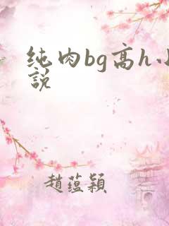 纯肉bg高h小说