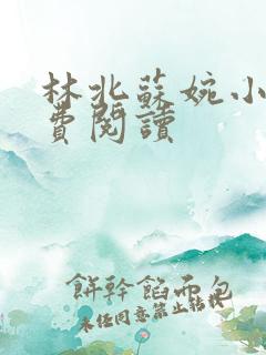 林北苏婉小说免费阅读