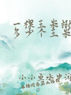 一棵玉米树能结多少个玉米