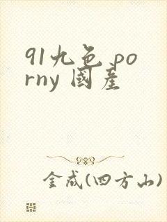 91九色 porny 国产