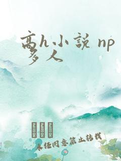 高h小说 np 多人