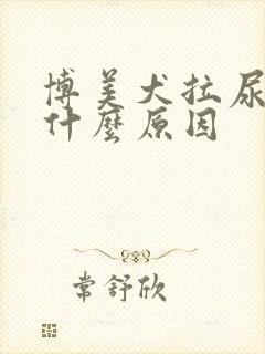 博美犬拉尿很黄什么原因