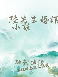 陆先生婚谋已久 小说