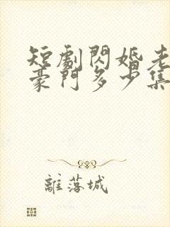 短剧闪婚老公是豪门多少集
