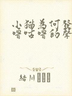 小猫为何发出咕噜咕噜的声音