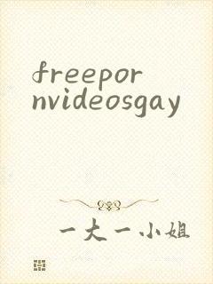 freepornvideosgay