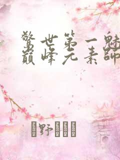 惊世第一魅妃:巅峰元素师