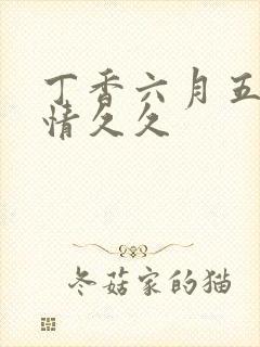 丁香六月五月激情久久