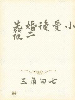 先婚后爱小说梦筱二
