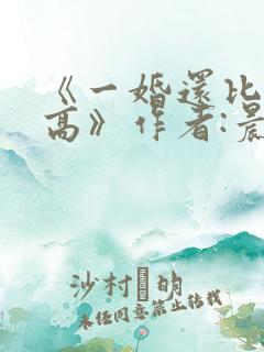《一婚还比一婚高》作者:晨雾的光