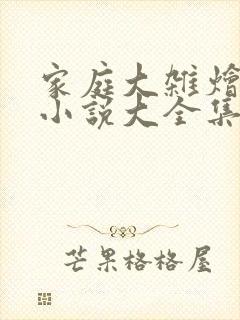家庭大杂烩经典小说大全集