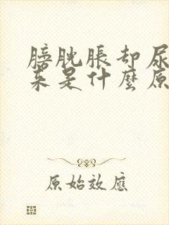 膀胱胀却尿不出来是什么原因