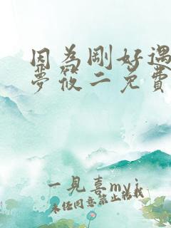 因为刚好遇见你梦筱二免费阅读
