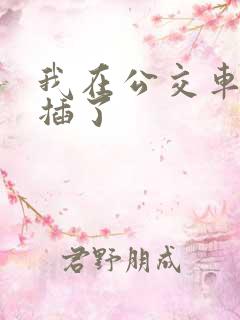 我在公交车上被插了