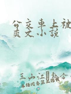 公交车上被强上爽文小说