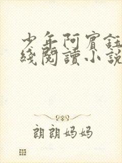 少年阿宾钰慧在线阅读小说