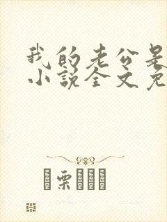 我的老公是大佬小说全文免费阅读