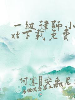 一级律师小说txt下载免费