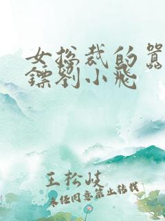 女总裁的嚣张保镖刘小飞