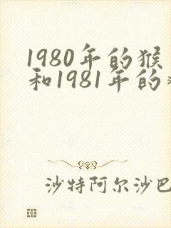 1980年的猴和1981年的鸡相配吗
