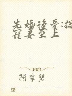 先婚后爱:总裁宠妻至上