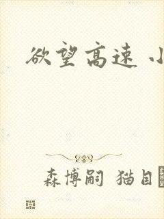 欲望高速 小说
