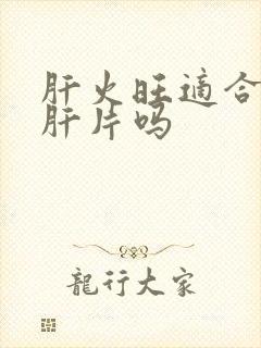 肝火旺适合吃护肝片吗