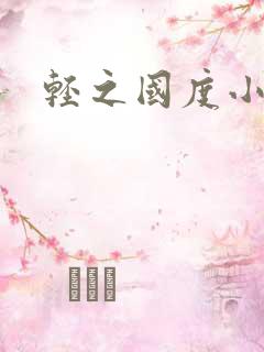 轻之国度小说