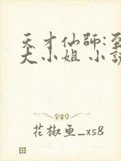 天才仙师:至尊大小姐 小说