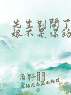先生别闹了,新娘不是你的短剧免费观看