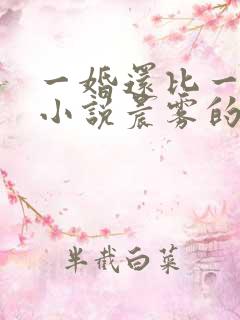一婚还比一婚高小说晨雾的光