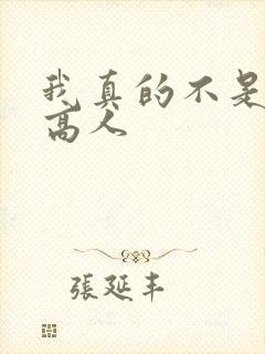我真的不是绝世高人