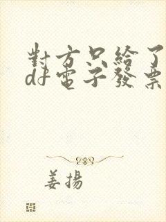 对方只给了我pdf电子发票