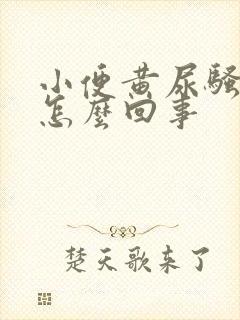 小便黄尿骚味重怎么回事