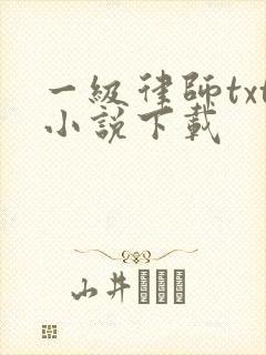 一级律师txt小说下载